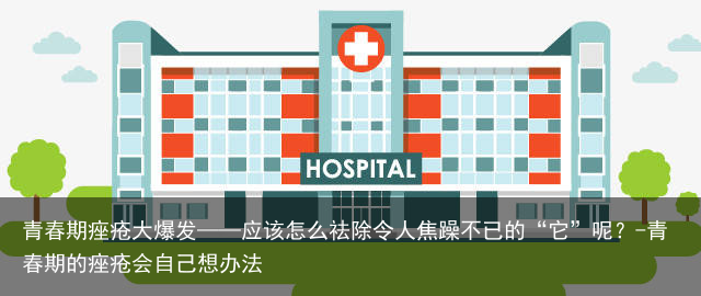 青春期痤疮大爆发——应该怎么祛除令人焦躁不已的“它”呢？-青春期的痤疮会自己想办法