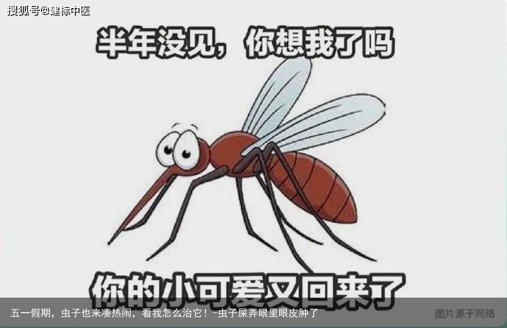 五一假期，虫子也来凑热闹，看我怎么治它！-虫子屎弄眼里眼皮肿了
