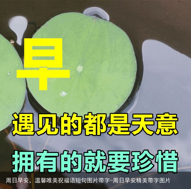 周日早安，温馨唯美祝福语短句图片带字-周日早安精美带字图片