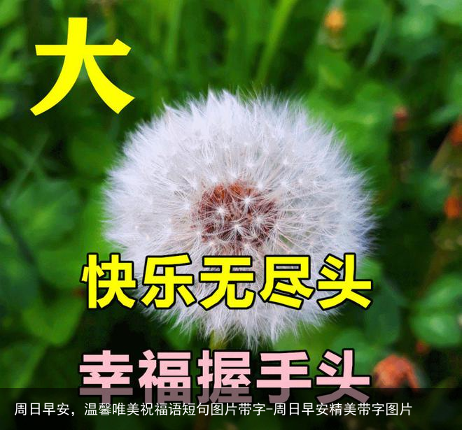 周日早安，温馨唯美祝福语短句图片带字-周日早安精美带字图片