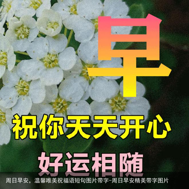 周日早安，温馨唯美祝福语短句图片带字-周日早安精美带字图片