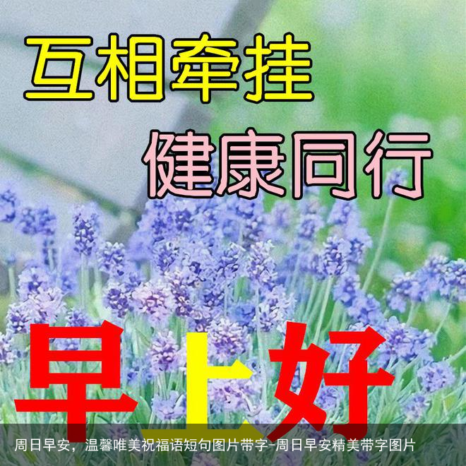周日早安，温馨唯美祝福语短句图片带字-周日早安精美带字图片