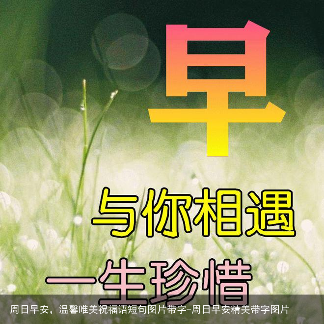 周日早安，温馨唯美祝福语短句图片带字-周日早安精美带字图片