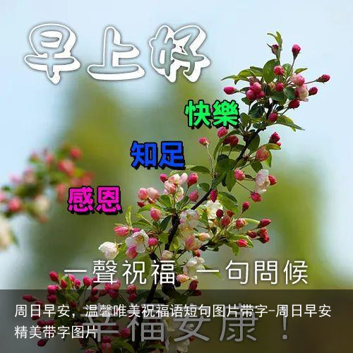 周日早安，温馨唯美祝福语短句图片带字-周日早安精美带字图片