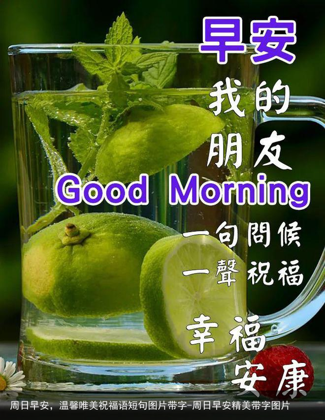 周日早安，温馨唯美祝福语短句图片带字-周日早安精美带字图片
