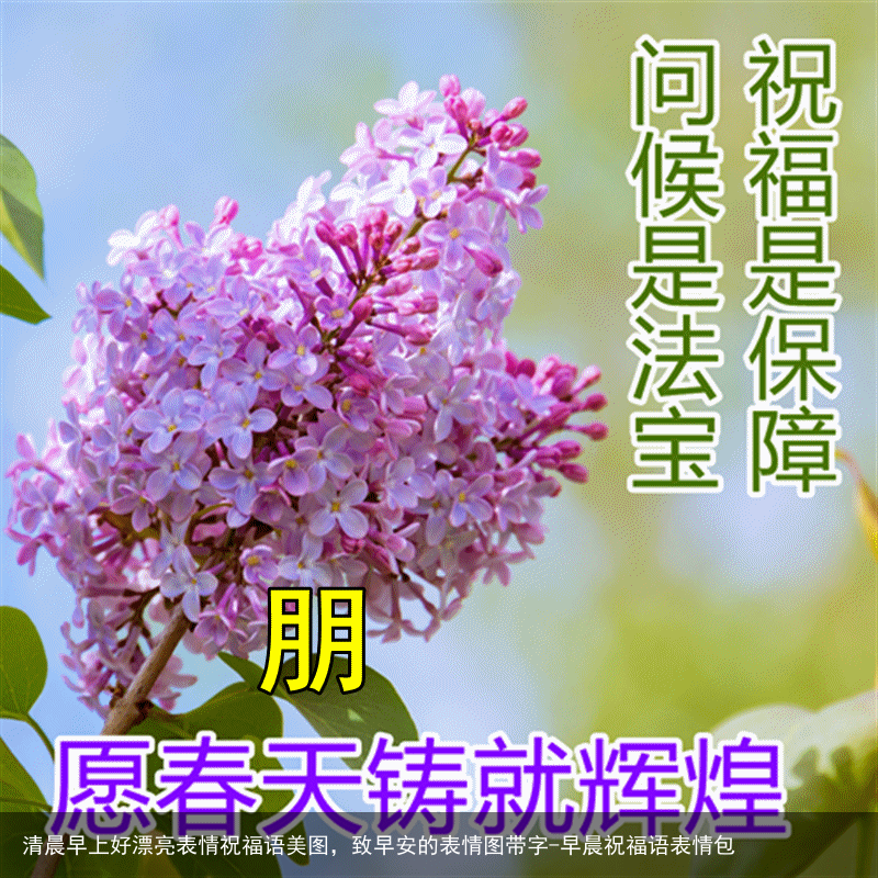 清晨早上好漂亮表情祝福语美图，致早安的表情图带字-早晨祝福语表情包