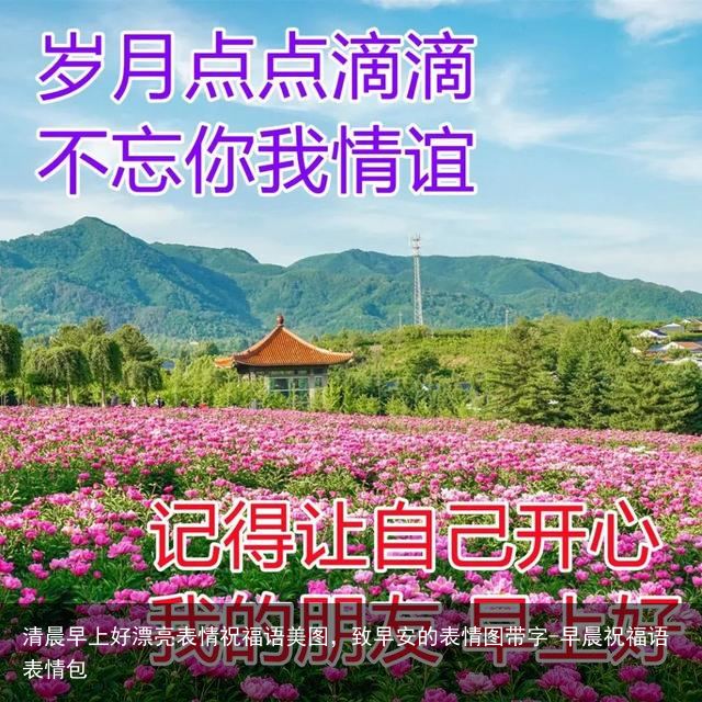 清晨早上好漂亮表情祝福语美图，致早安的表情图带字-早晨祝福语表情包