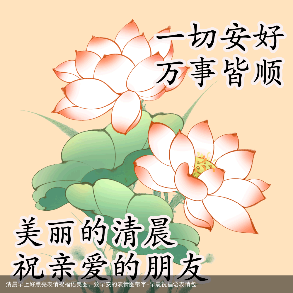 清晨早上好漂亮表情祝福语美图，致早安的表情图带字-早晨祝福语表情包