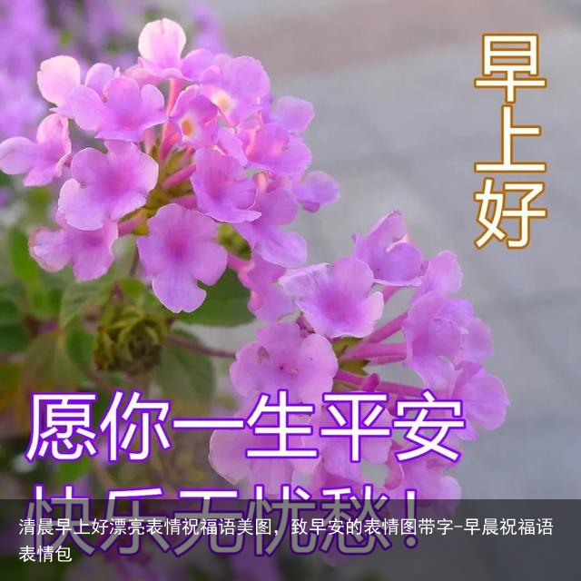 清晨早上好漂亮表情祝福语美图，致早安的表情图带字-早晨祝福语表情包