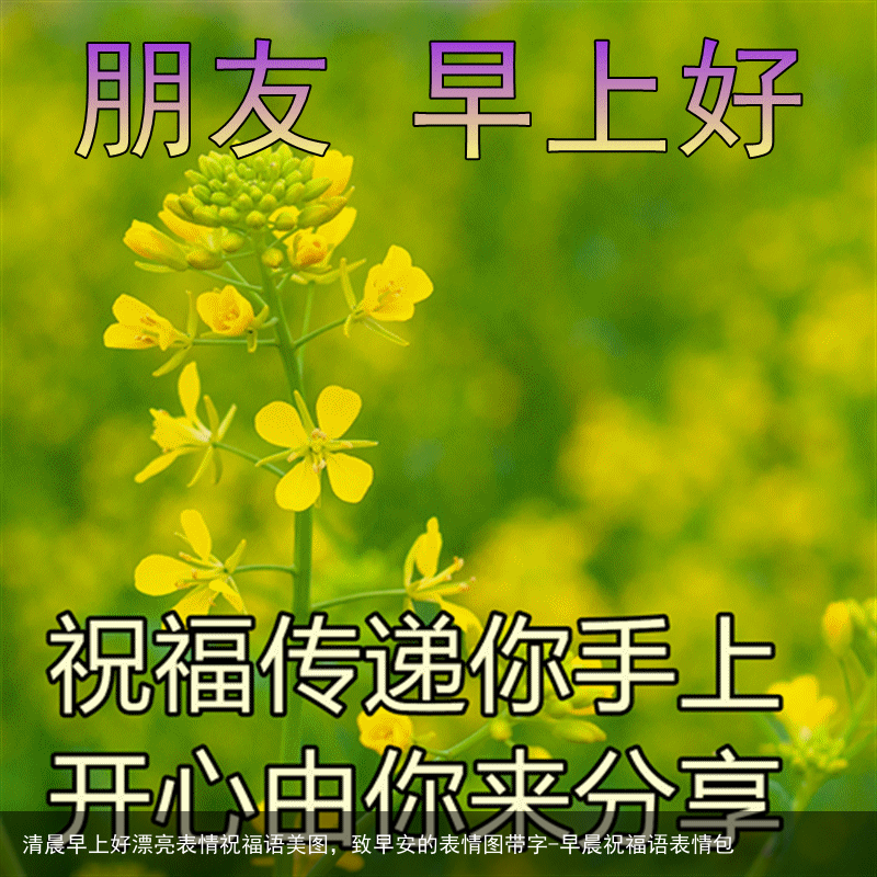 清晨早上好漂亮表情祝福语美图，致早安的表情图带字-早晨祝福语表情包