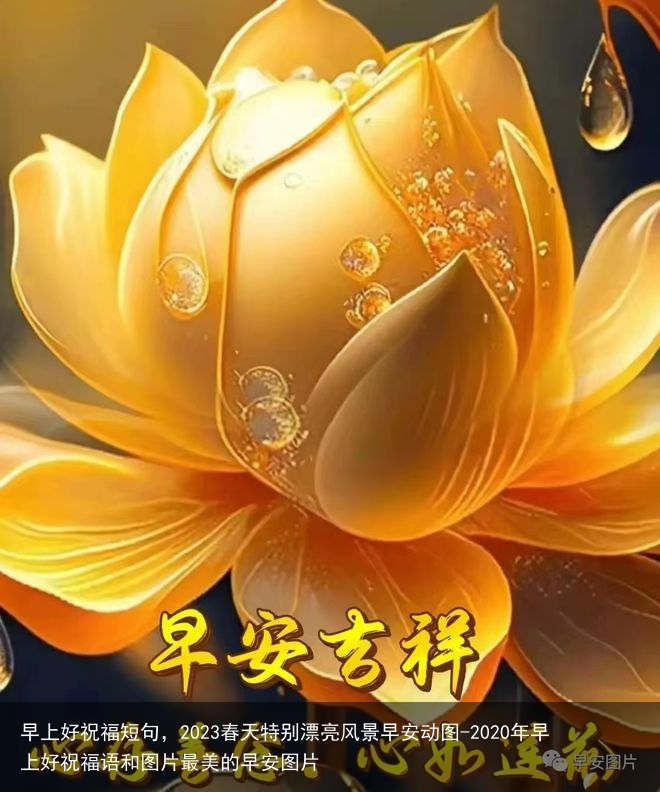 早上好祝福短句，2023春天特别漂亮风景早安动图-2020年早上好祝福语和图片最美的早安图片