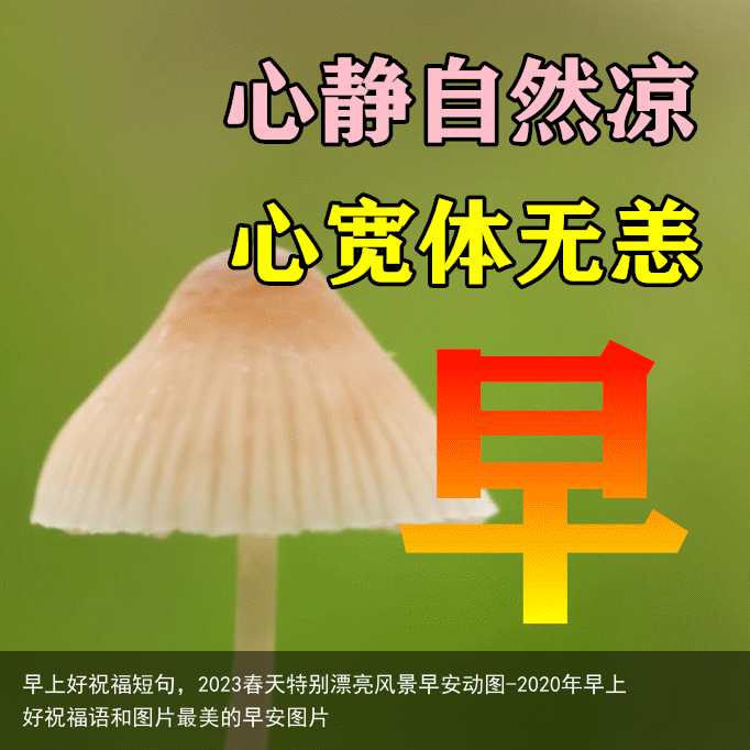 早上好祝福短句，2023春天特别漂亮风景早安动图-2020年早上好祝福语和图片最美的早安图片