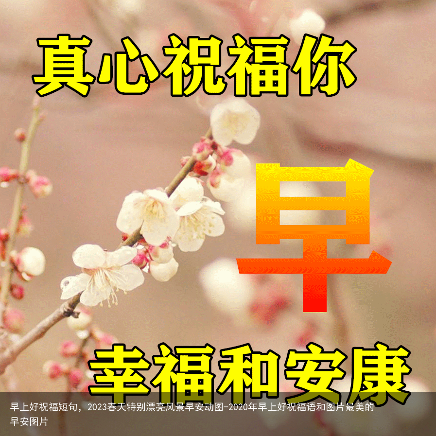 早上好祝福短句，2023春天特别漂亮风景早安动图-2020年早上好祝福语和图片最美的早安图片