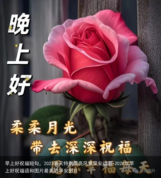 早上好祝福短句，2023春天特别漂亮风景早安动图-2020年早上好祝福语和图片最美的早安图片