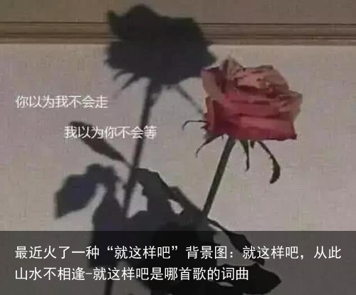 最近火了一种“就这样吧”背景图：就这样吧，从此山水不相逢-就这样吧是哪首歌的词曲