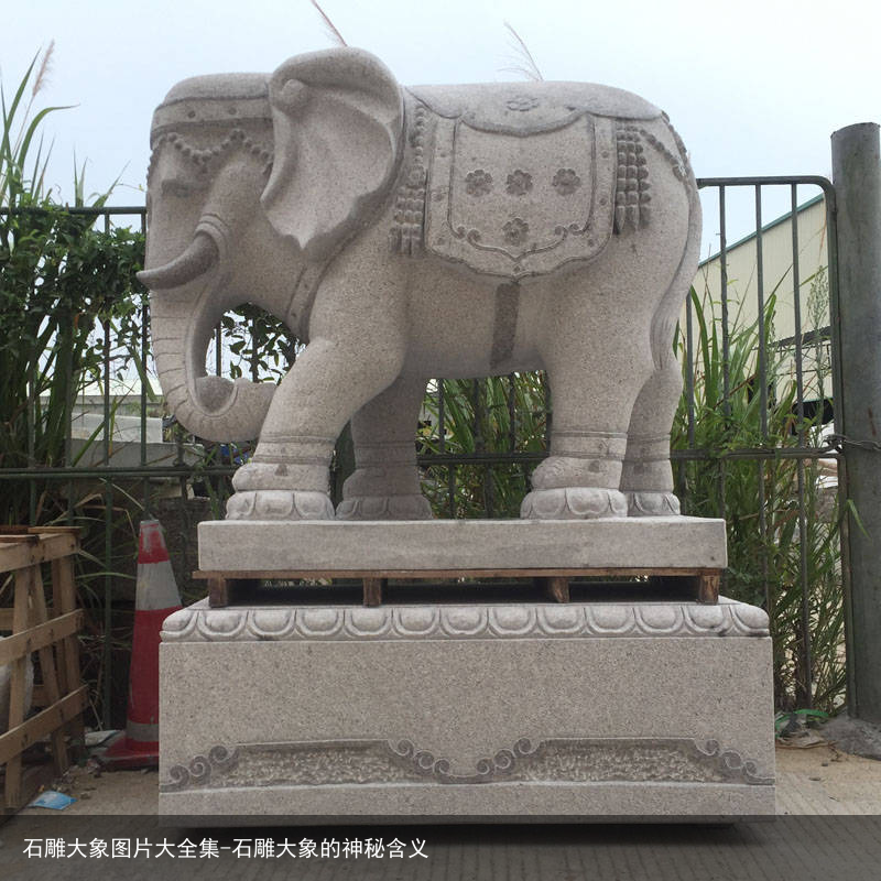 石雕大象图片大全集-石雕大象的神秘含义