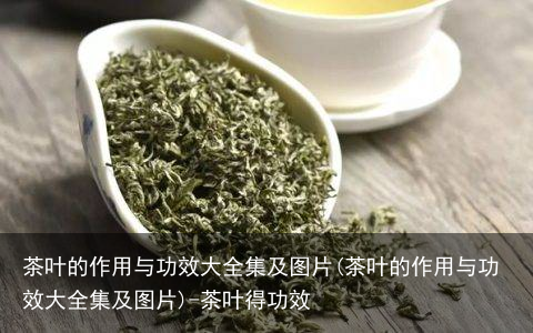 茶叶的作用与功效大全集及图片(茶叶的作用与功效大全集及图片)-茶叶得功效