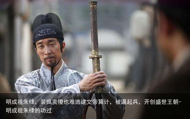 明成祖朱棣，装疯卖傻也难逃建文帝算计，被逼起兵，开创盛世王朝-明成祖朱棣的功过