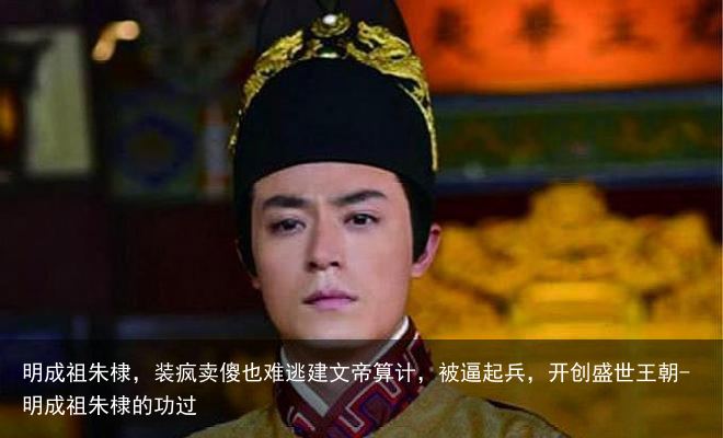 明成祖朱棣，装疯卖傻也难逃建文帝算计，被逼起兵，开创盛世王朝-明成祖朱棣的功过