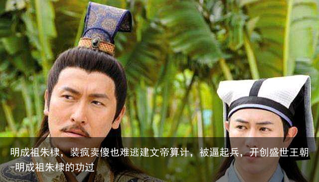 明成祖朱棣，装疯卖傻也难逃建文帝算计，被逼起兵，开创盛世王朝-明成祖朱棣的功过