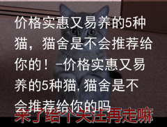 价格实惠又易养的5种猫，猫舍是不会推荐给你的！-价格实惠又易养的5种猫,猫舍是不会推荐给你的吗