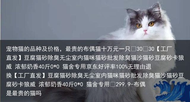 宠物猫的品种及价格，最贵的布偶猫十万元一只