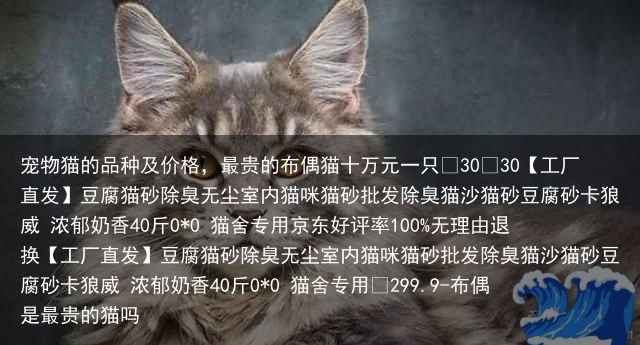 宠物猫的品种及价格，最贵的布偶猫十万元一只