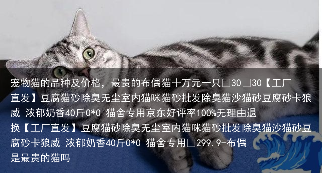 宠物猫的品种及价格，最贵的布偶猫十万元一只