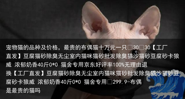 宠物猫的品种及价格，最贵的布偶猫十万元一只