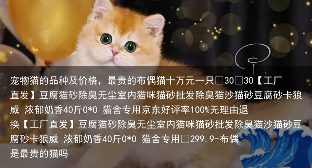 宠物猫的品种及价格，最贵的布偶猫十万元一只
