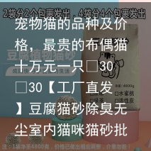 宠物猫的品种及价格，最贵的布偶猫十万元一只