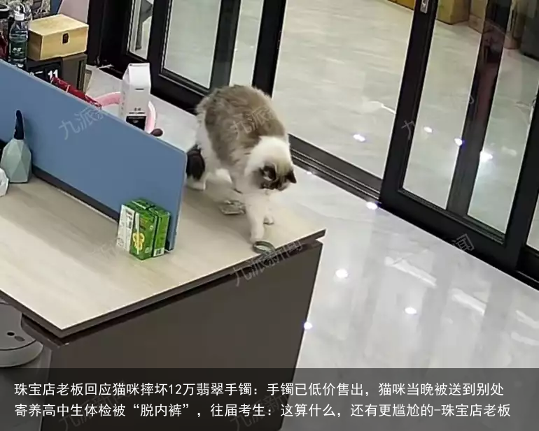 珠宝店老板回应猫咪摔坏12万翡翠手镯：手镯已低价售出，猫咪当晚被送到别处寄养高中生体检被“脱内裤”，往届考生：这算什么，还有更尴尬的-珠宝店老板