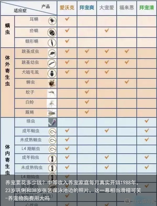 养宠要花多少钱？中等收入养宠家庭每月真实开销