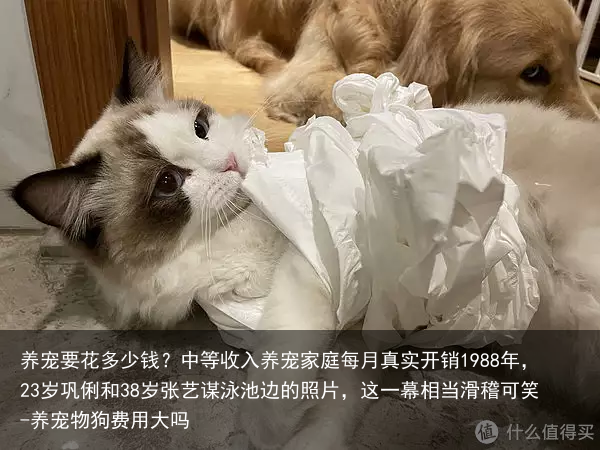 养宠要花多少钱？中等收入养宠家庭每月真实开销