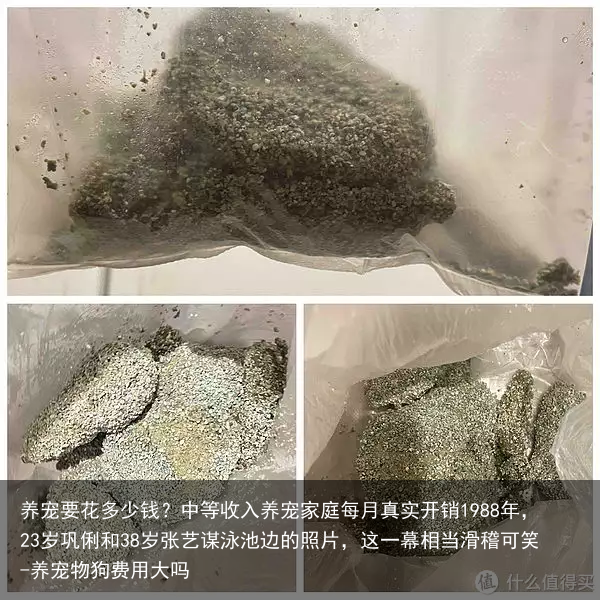 养宠要花多少钱？中等收入养宠家庭每月真实开销