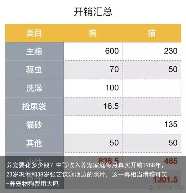 养宠要花多少钱？中等收入养宠家庭每月真实开销
