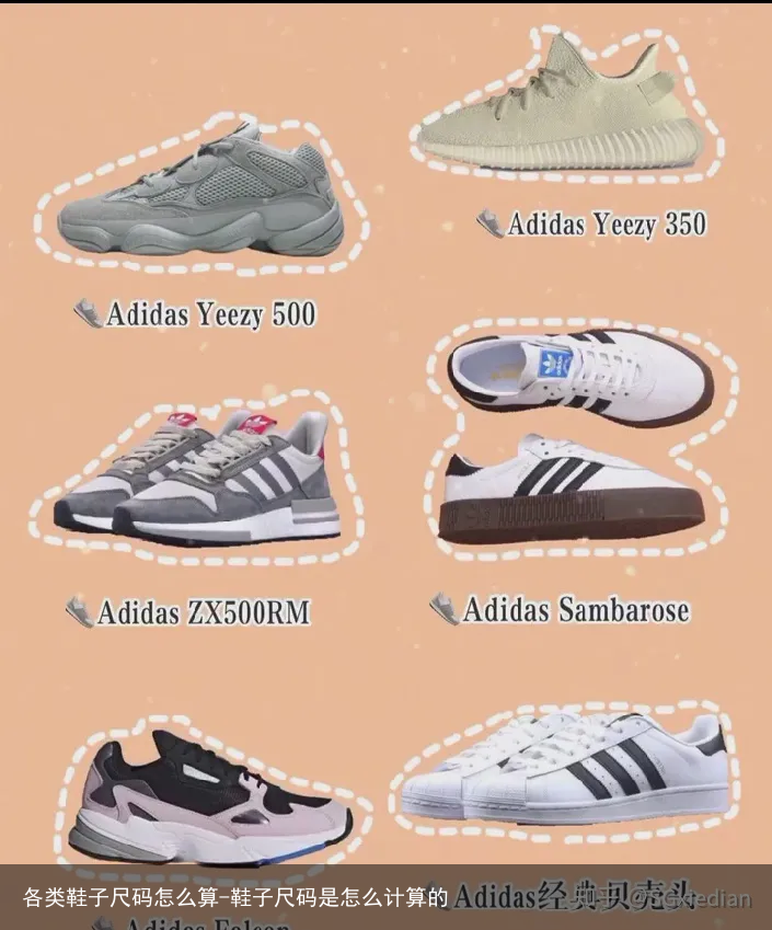 各类鞋子尺码怎么算-鞋子尺码是怎么计算的