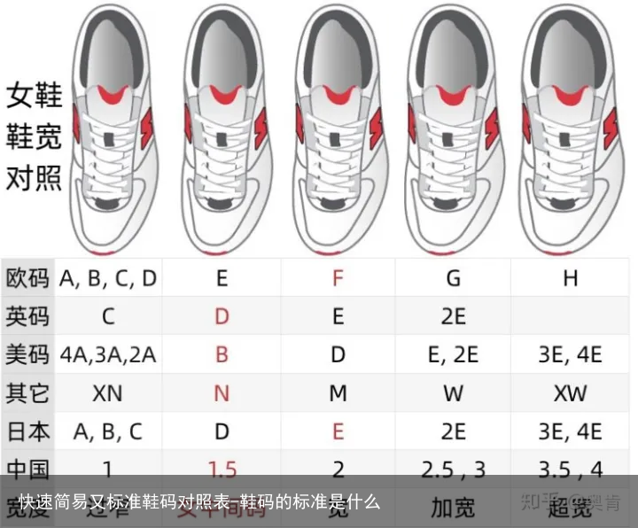 快速简易又标准鞋码对照表-鞋码的标准是什么