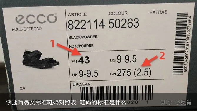 快速简易又标准鞋码对照表-鞋码的标准是什么