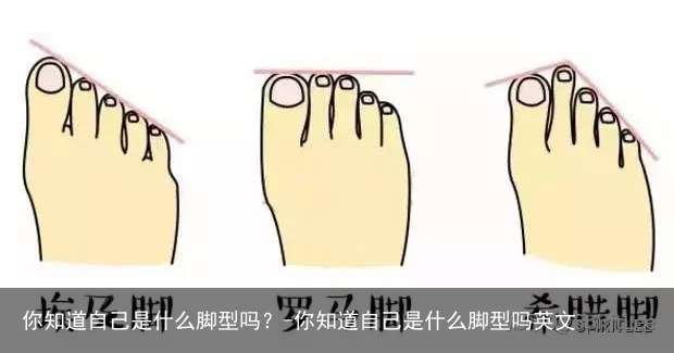 你知道自己是什么脚型吗？-你知道自己是什么脚型吗英文