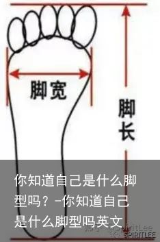 你知道自己是什么脚型吗？-你知道自己是什么脚型吗英文