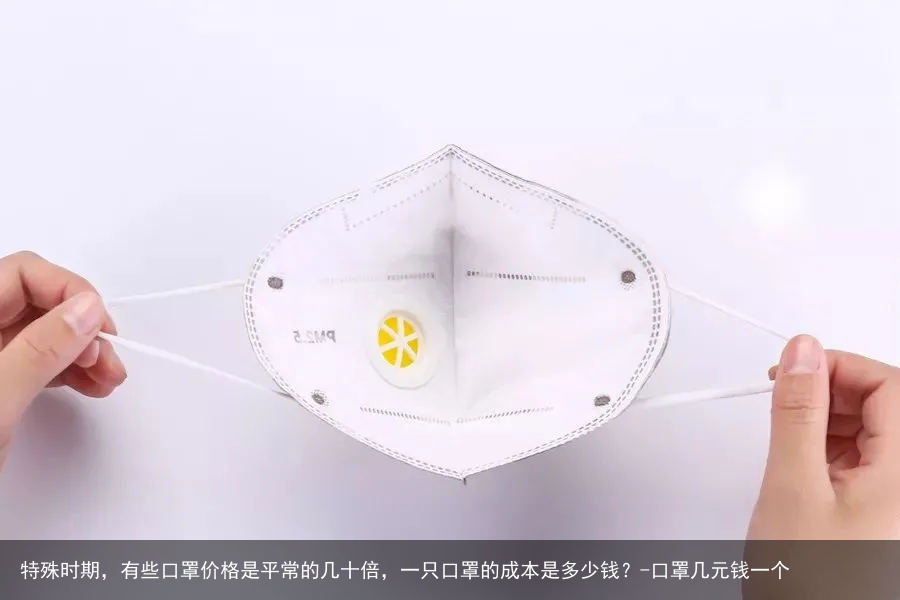 特殊时期，有些口罩价格是平常的几十倍，一只口罩的成本是多少钱？-口罩几元钱一个
