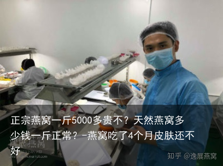 正宗燕窝一斤5000多贵不？天然燕窝多少钱一斤正常？-燕窝吃了4个月皮肤还不好