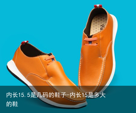内长15.5是几码的鞋子-内长15是多大的鞋