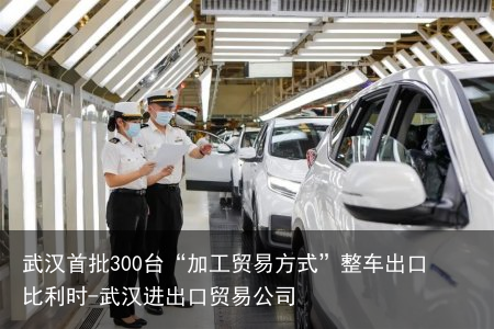 武汉首批300台“加工贸易方式”整车出口比利时-武汉进出口贸易公司