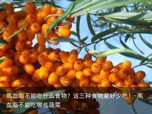 高血脂不能吃什么食物？这三种食物最好少吃！-高血脂不能吃哪些蔬菜