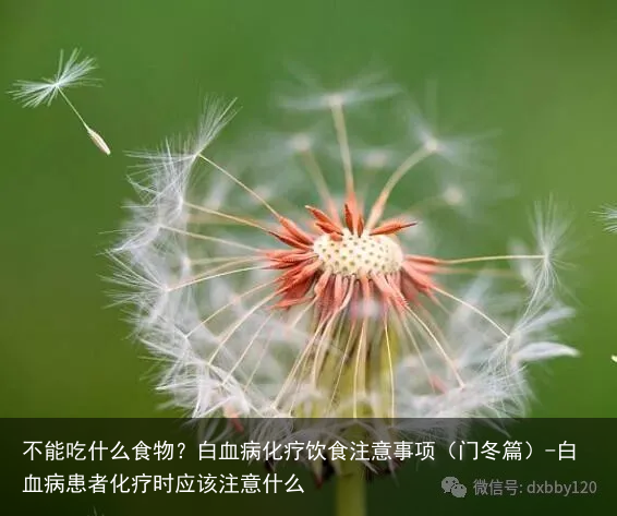 不能吃什么食物？白血病化疗饮食注意事项（门冬篇）-白血病患者化疗时应该注意什么