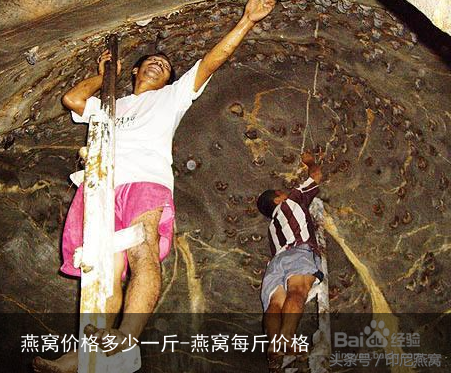 燕窝价格多少一斤-燕窝每斤价格