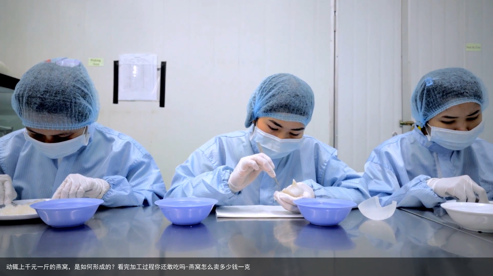 动辄上千元一斤的燕窝，是如何形成的？看完加工过程你还敢吃吗-燕窝怎么卖多少钱一克