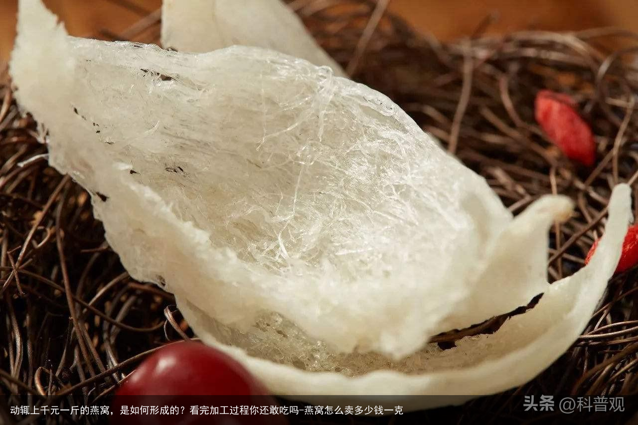 动辄上千元一斤的燕窝，是如何形成的？看完加工过程你还敢吃吗-燕窝怎么卖多少钱一克